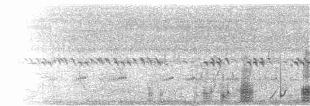אנפית בקר מערבית - ML111602881