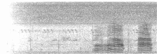 אנפית בקר מערבית - ML111602901