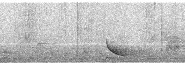 Common Tailorbird - ML111607