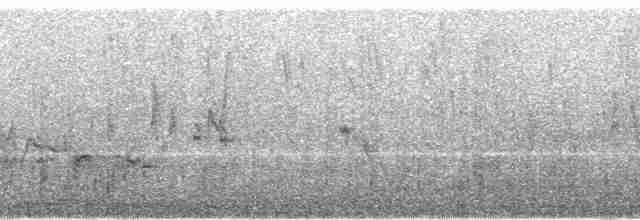 Вилохвістка плямиста - ML111652