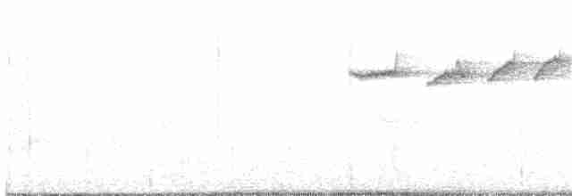 Снежнобровая мухоловка - ML111688841