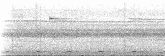 holub světleoký - ML111718111