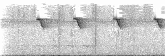 Белобородый колибри-отшельник - ML111722321