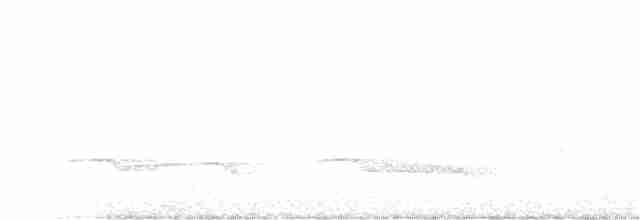 Дрімлюга гірський (підвид poliocephalus) - ML111750551