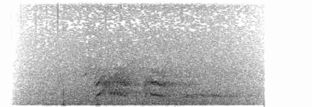 Australian Owlet-nightjar - ML111758681