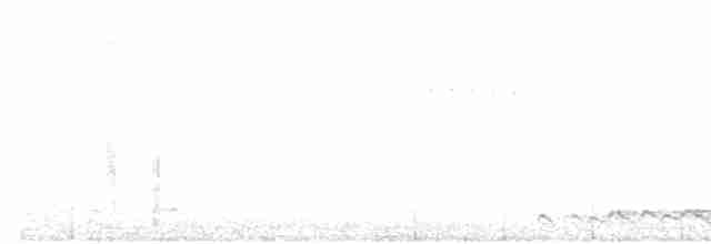 Орел-чубань індійський [група limnaeetus] - ML111793881