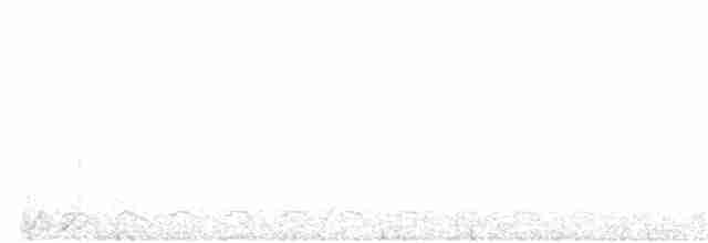Орел-чубань індійський [група limnaeetus] - ML111793891