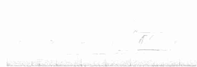 Aigle huppé (groupe limnaeetus) - ML111793911