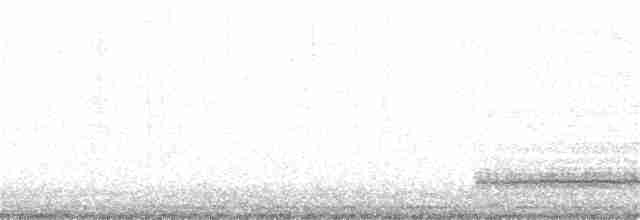 tårnugle (alba gr.) - ML111814481