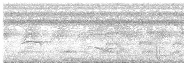 Тиран-інка буроголовий - ML111877291