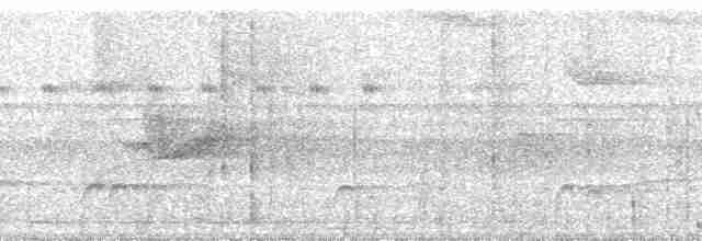 Tinamou varié - ML111895