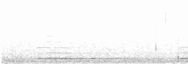 Beltxarga oihularia - ML111937941