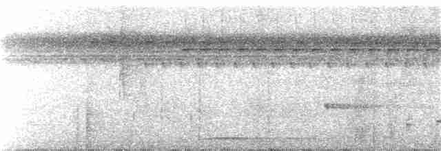 Суматранская кукушковая горлица - ML111963801