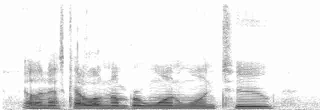 Paruline à calotte noire (pusilla) - ML112066
