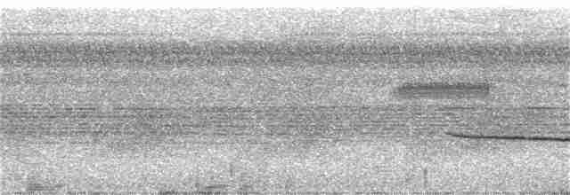 Weißbrust-Ameisenvogel - ML112096471