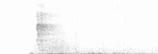 Пестрогрудый лесовик - ML112186661
