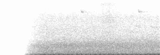 Mouse-brown Sunbird - ML112188821