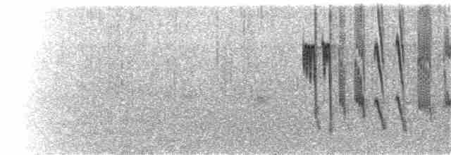 Işıldayan Kolibri - ML112204611
