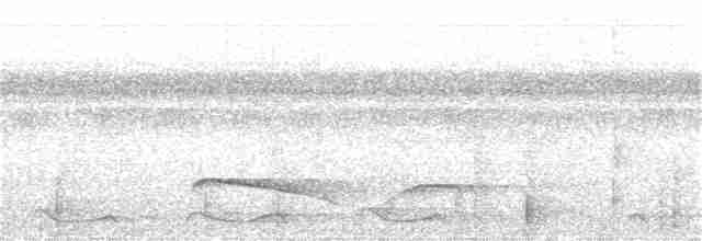Dusky-tailed Flatbill - ML112225661