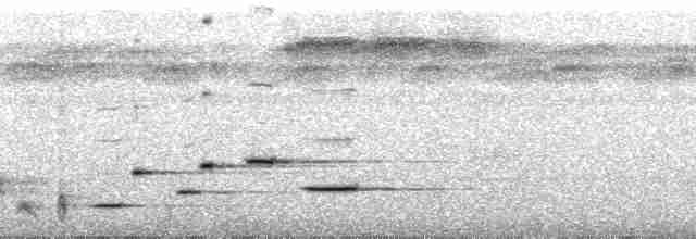 Troglodyte arada (arada) - ML112250