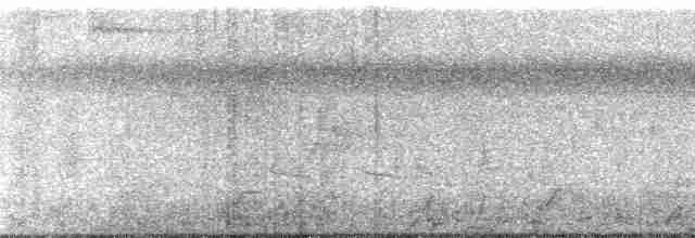 Черношапочный бекард - ML112254