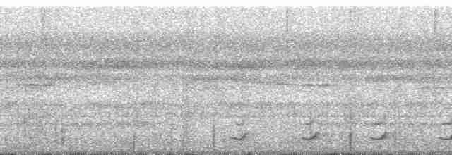 Chevêchette brune (groupe brasilianum) - ML112268