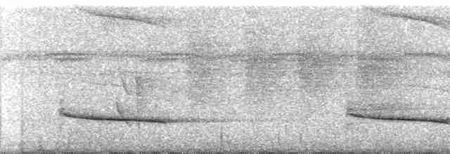 Серошапочный сорокопутовый виреон [группа leucotis] - ML112272