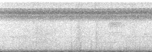 Kara Karınlı Sincap Guguğu - ML112275