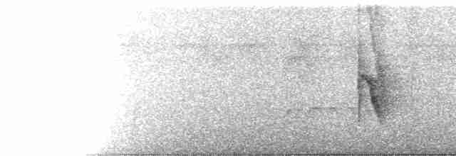 Nordamazonien-Ameisenschnäpper - ML112281