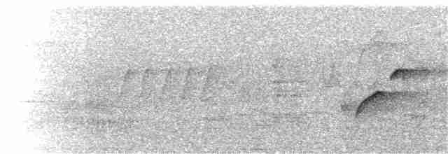 Batı Amerika Sinekkapanı (occidentalis/hellmayri) - ML112329921