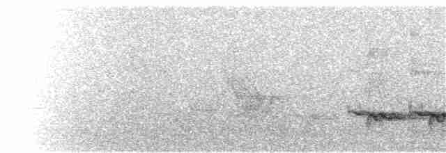 Black-crested Titmouse - ML112347221