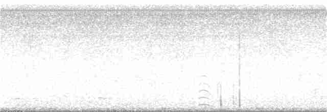 Common Gallinule (American) - ML112436801