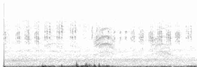 Common Tern - ML112450441