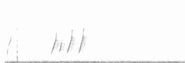 Curve-billed Thrasher (palmeri Group) - ML112509211