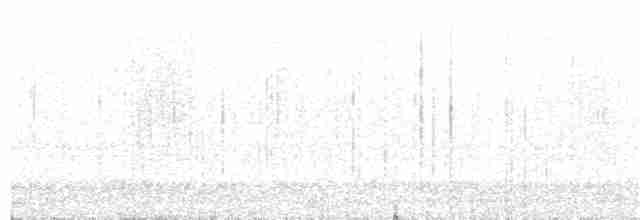 Гагара білодзьоба - ML112558481