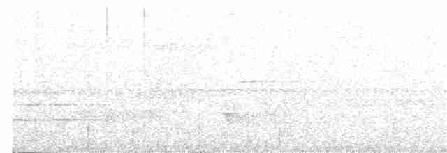 Weißgesichttaube - ML112561321