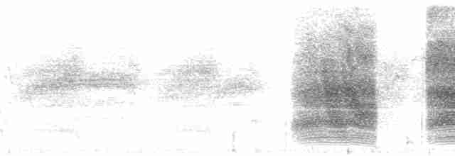 Steller Kargası [diademata grubu] - ML112612
