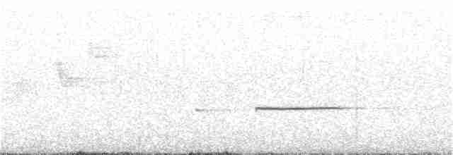 Розела білогорла - ML112618251