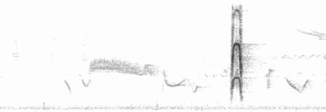 strakapoud hnědokřídlý - ML112623