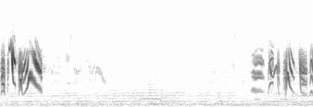 Braunaugenvireo (arizonae) - ML112630