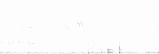 Чінголо блідий [група botterii] - ML112635