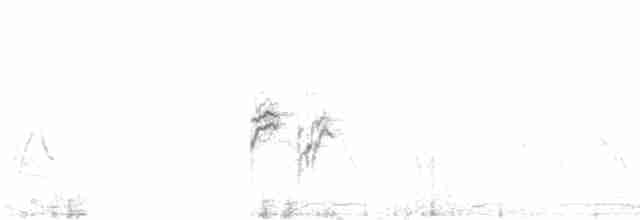 Длиннохвостый крапивник - ML112658