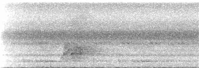 Суматранская китта - ML112676511