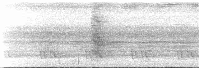 Бронзовохвостый павлиний фазан - ML112681521