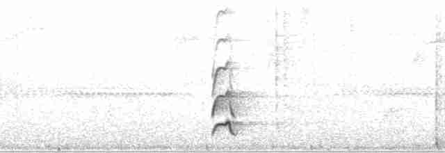 Swallow-tailed Manakin - ML112703