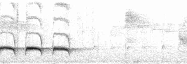 Weißbinden-Ameisenvogel - ML112729