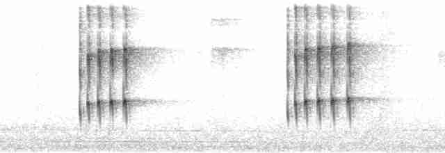 Тиран-інка буроголовий - ML112739