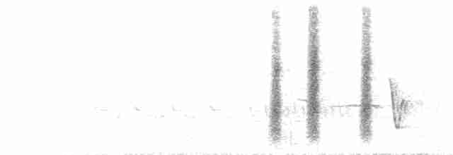 hvitbuksvalestær - ML112752511