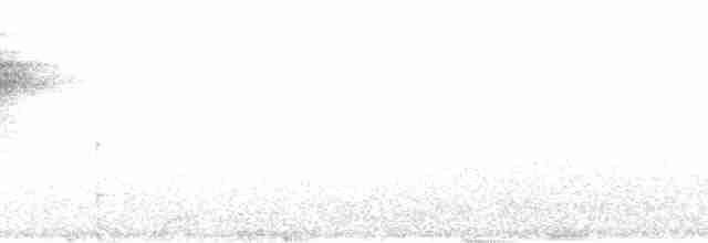White-browed Warbler - ML112762