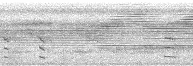 Дереволаз-довгохвіст великий [група pallida] - ML112796